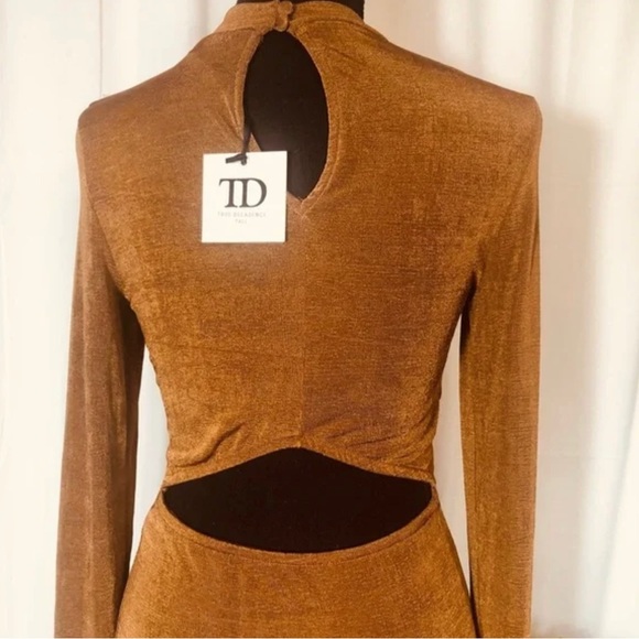 True Decadence | NWT | Rust Dress | Mock Neck | Size 10 Tall - Picture 4 of 7